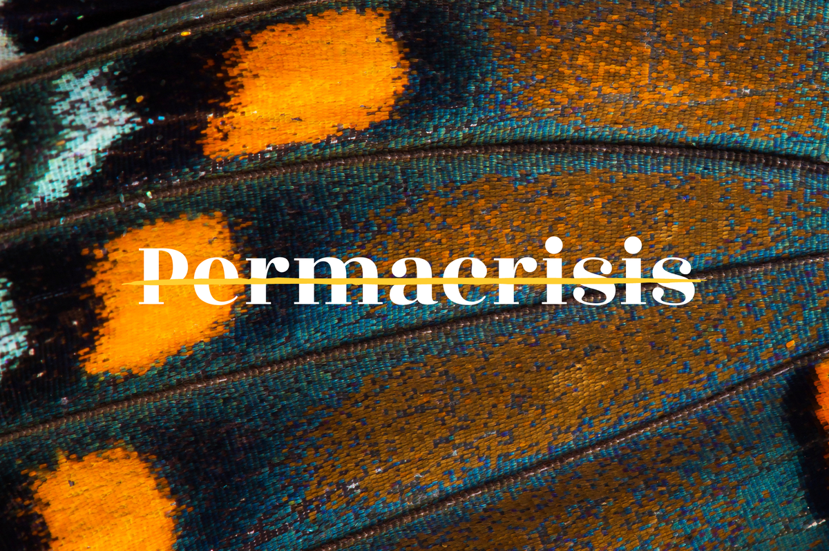 There’s no such thing as a ‘permacrisis’ › Reboot Education