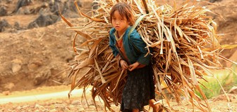 Cover image: Child labour
