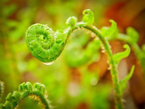 Cover image: Help us to Start The Change!