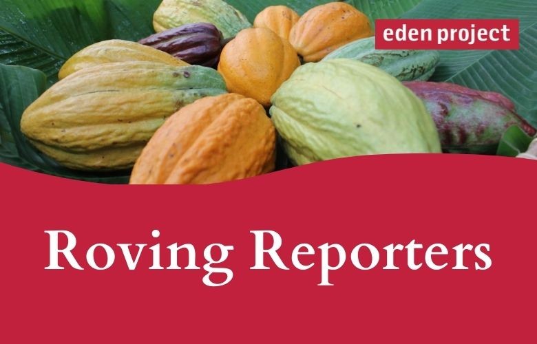 Roving Reporters › Reboot Education