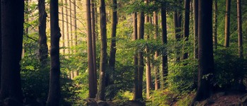 Illustration for monthly theme of Rebooting