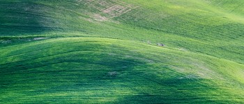 Illustration for monthly theme of Golden Rule