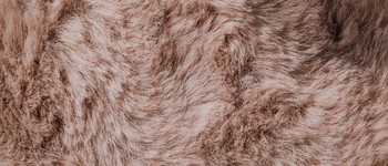 Illustration for monthly theme of Respect & Dignity